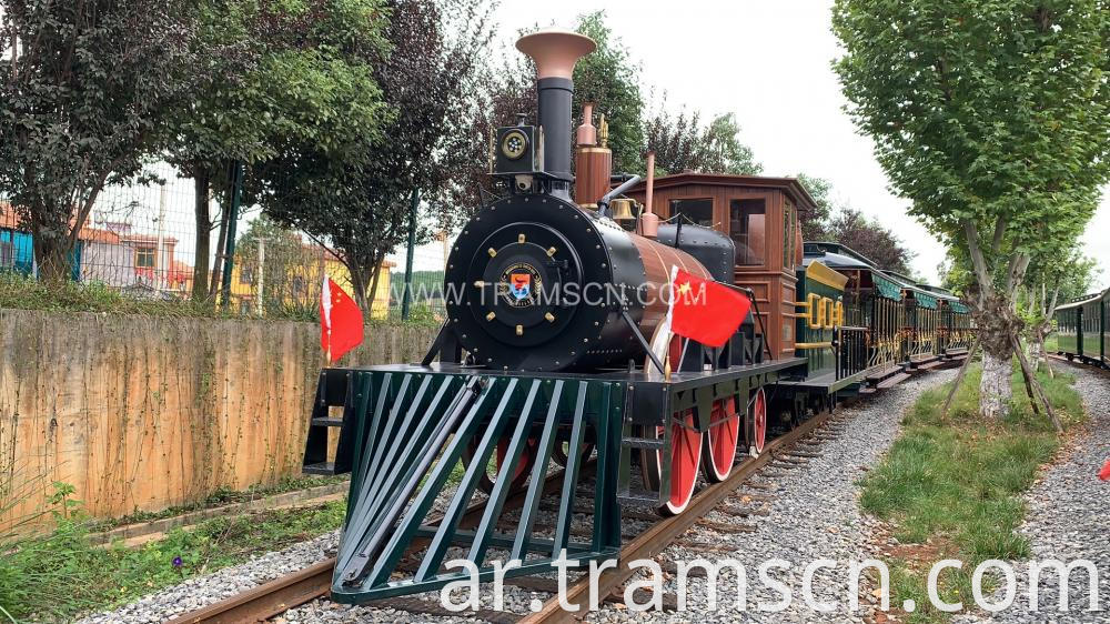 Steam Engine Trains Dant